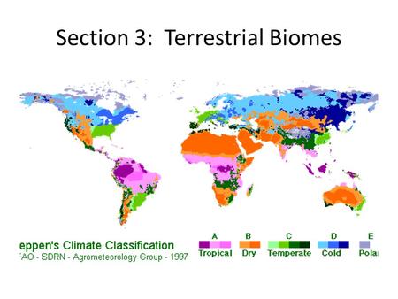 Section 3: Terrestrial Biomes. Biome A land area that is characterized by the plants and animals that live in the area. Two abiotic factors that affect.