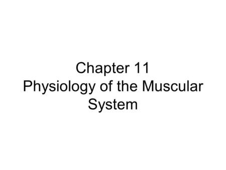 Chapter 11 Physiology of the Muscular System. Introduction Muscular system is responsible for moving the framework of the body In addition to movement,