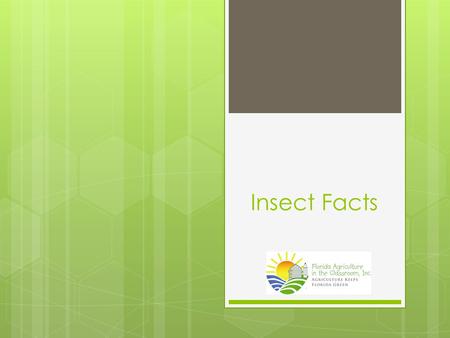 Insect Facts.  It is estimated that there are 20 to 30 million species of insects.  90% of all animal species are insects.