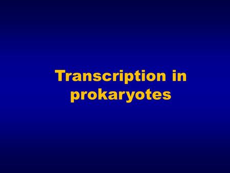 Transcription in prokaryotes