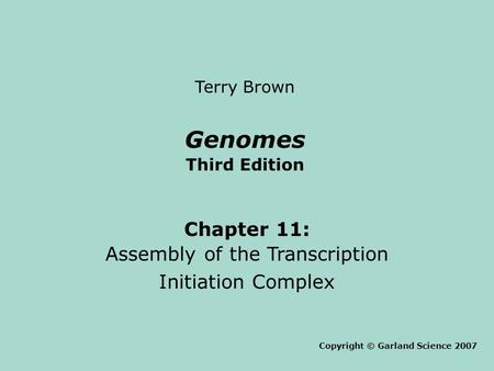 Genomes Third Edition Chapter 11: Assembly of the Transcription Initiation Complex Copyright © Garland Science 2007 Terry Brown.