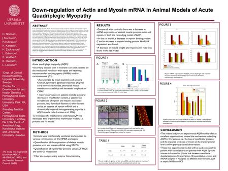 Down-regulation of Actin and Myosin mRNA in Animal Models of Acute Quadriplegic Myopathy ABSTRACT Acute quadriplegic myopathy (AQM), which is characterized.