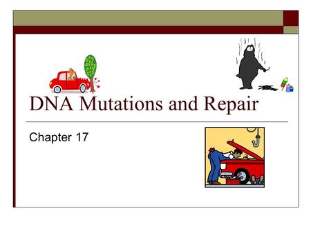 DNA Mutations and Repair Chapter 17. Mutation: is defined as an inherited change in genetic information by cell division or individual organisms. Chernobyl,