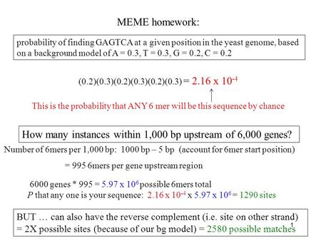 MEME homework: probability of finding GAGTCA at a given position in the yeast genome, based on a background model of A = 0.3, T = 0.3, G = 0.2, C = 0.2.