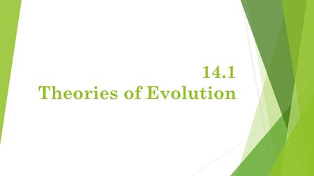 14.1 Theories of Evolution. Early Theory- Lamarck  Lamarck believed that organisms adapted to their environments. His theory was based on 3 incorrect.