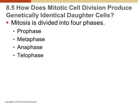 Copyright © 2009 Pearson Education Inc. 8.5 How Does Mitotic Cell Division Produce Genetically Identical Daughter Cells?  Mitosis is divided into four.
