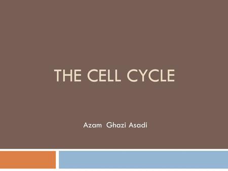 THE CELL CYCLE Azam Ghazi Asadi. introduction ※ T he cell cycle entails of macromolecular events that lead to cell division and the production of two.