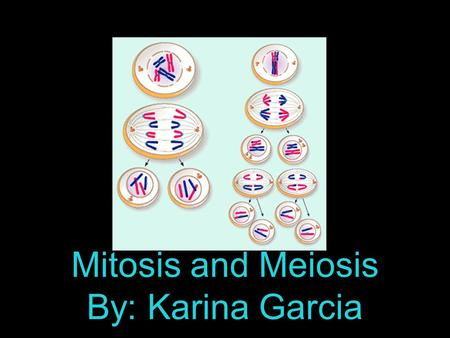 Mitosis and Meiosis By: Karina Garcia. Vocabulary Cell cycle: repeating set of events that make up the life of a cell. Chromosomes: DNA and protein in.