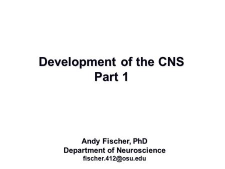 Development of the CNS Part 1 Andy Fischer, PhD Department of Neuroscience Development of the CNS part 1.