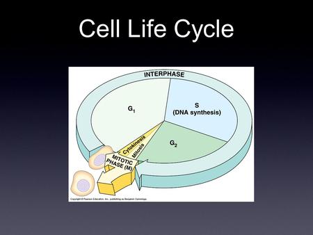 Cell Life Cycle. Cells have two major periods Interphase Cell grows Cell carries on metabolic processes Cell replicates DNA Cell division Cell replicates.
