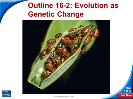End Show Slide 1 of 40 Copyright Pearson Prentice Hall 16-2 Evolution as Genetic Change Outline 16-2: Evolution as Genetic Change.