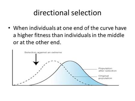 Directional selection When individuals at one end of the curve have a higher fitness than individuals in the middle or at the other end.