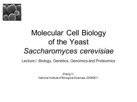 Molecular Cell Biology of the Yeast Saccharomyces cerevisiae Lecture I: Biology, Genetics, Genomics and Proteomics Zhang Yi, National Institute of Biological.