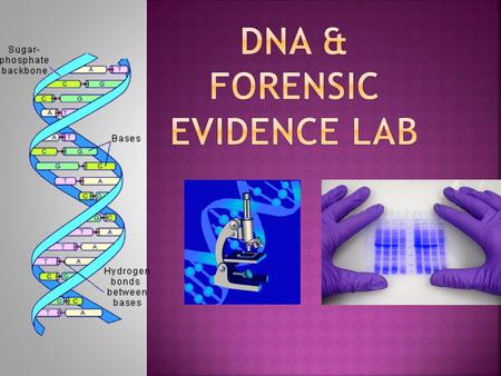 DNA & Forensic Evidence Lab