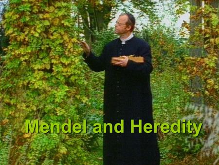 Mendeland Heredity Mendel and Heredity I. The Origin of Genetics A.Mendel’s Studies of Traits 1. Gregor Johann Mendel-(1822-1884) Austrian Augustinian.