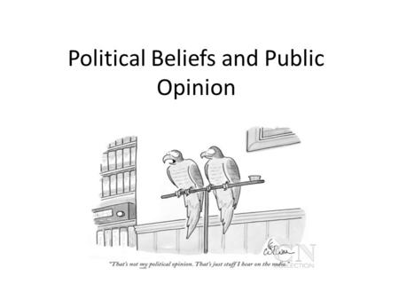 Political Beliefs and Public Opinion. Political efficacy The belief that one’s political participation really matters.
