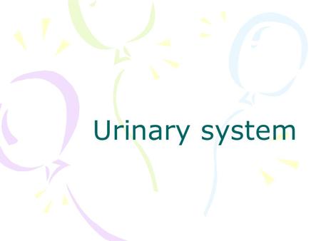 Urinary system. Methods of investigation X-ray Plain abdominal radiographs Urogram –Excretory urography (intravenous pyelography, IVP) –Retrograde urography.