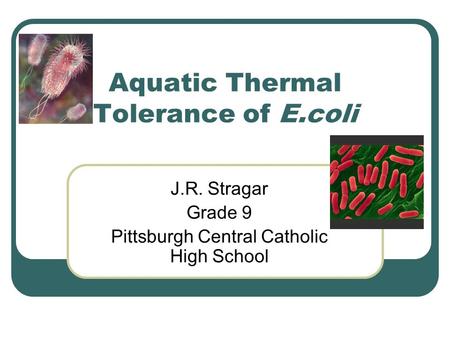 Aquatic Thermal Tolerance of E.coli