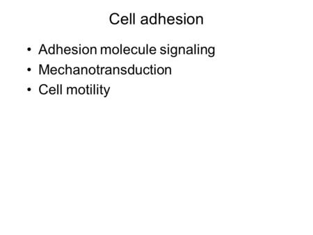 Cell adhesion Adhesion molecule signaling Mechanotransduction