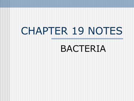 CHAPTER 19 NOTES BACTERIA.