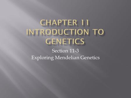 Section 11-3 Exploring Mendelian Genetics Wanted To Know If: Segregation Was Truly Independent or Does The Segregation Of One Pair Of Alleles Affect.