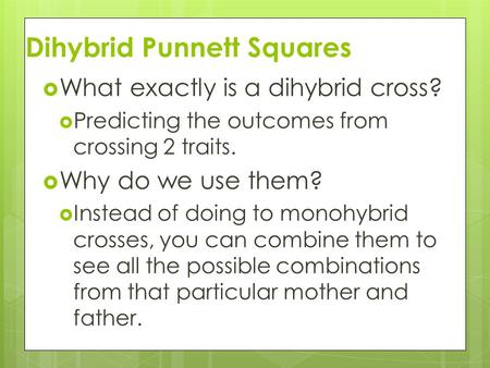 Dihybrid Punnett Squares
