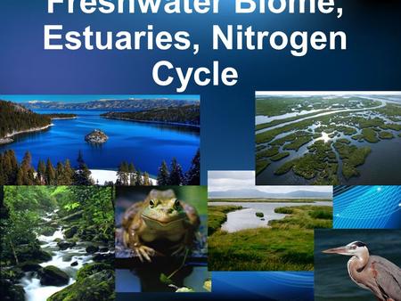 Freshwater Biome, Estuaries, Nitrogen Cycle
