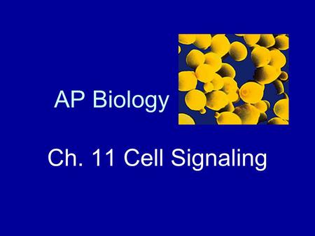 AP Biology Ch. 11 Cell Signaling.