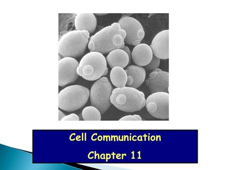 Cell Communication Chapter 11.  Trillions of cells in multicellular organisms must communicate with each other to coordinate their activities.  In unicellular.