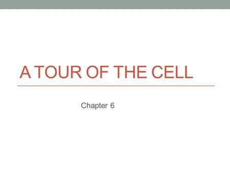 A TOUR OF THE CELL Chapter 6. The Fundamental Units of Life What do a small compartment in a honeycomb, a prison room, and the area covered by a mobile.