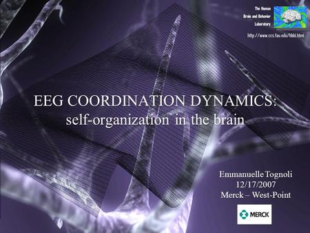 EEG COORDINATION DYNAMICS: self-organization in the brain The Human Brain and Behavior Laboratory Emmanuelle Tognoli 12/17/2007 Merck – West-Point
