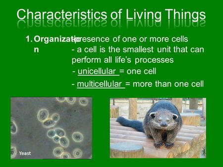 1.Organizatio n -presence of one or more cells - a cell is the smallest unit that can perform all life’s processes - unicellular = one cell - multicellular.