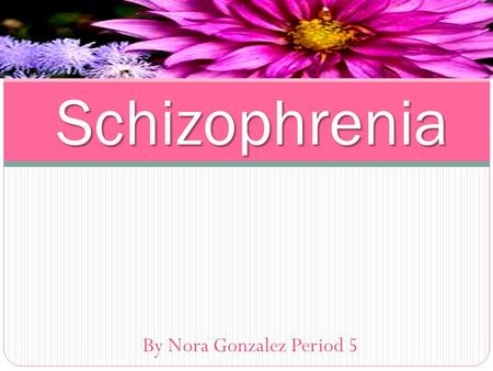 By Nora Gonzalez Period 5 Schizophrenia. Discussion Question: Define Schizophrenia.