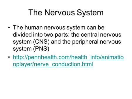 The Nervous System The human nervous system can be divided into two parts: the central nervous system (CNS) and the peripheral nervous system (PNS)