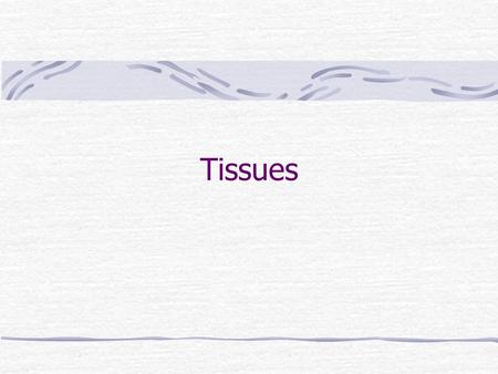 Tissues. Tissue – a group or mass of similar cells working together to perform certain common functions There are 4 major types of tissue  Epithelial.