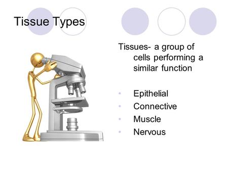 Tissue Types Tissues- a group of cells performing a similar function Epithelial Connective Muscle Nervous.