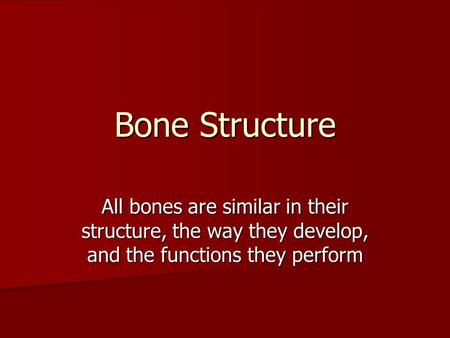 Bone Structure All bones are similar in their structure, the way they develop, and the functions they perform.