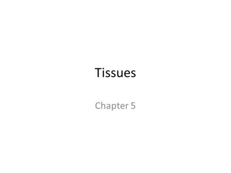 Tissues Chapter 5. Tissues Four types of tissues – Epithelial – Connective – Muscle – Nervous.