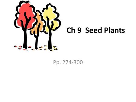Ch 9 Seed Plants Pp. 274-300. Notes 9-1 All seed plants share 2 characteristics. They have vascular tissue and use seeds to reproduce. They all have body.