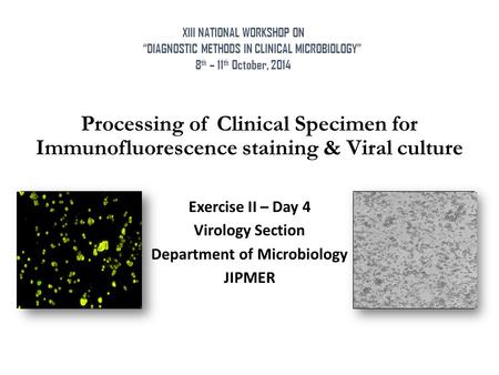 Processing of Clinical Specimen for Immunofluorescence staining & Viral culture Exercise II – Day 4 Virology Section Department of Microbiology JIPMER.
