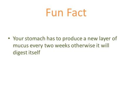 Fun Fact Your stomach has to produce a new layer of mucus every two weeks otherwise it will digest itself.