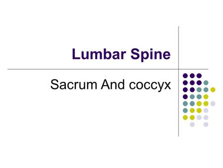 Lumbar Spine Sacrum And coccyx.