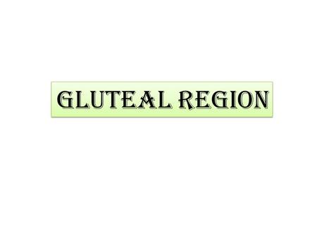 Gluteal region.