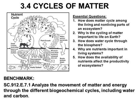 Lesson Overview Lesson Overview Cycles of Matter 3.4 CYCLES OF MATTER BENCHMARK: SC.912.E.7.1 Analyze the movement of matter and energy through the different.