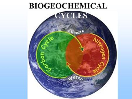 BIOGEOCHEMICAL CYCLES.