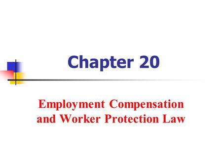 Chapter 20 Employment Compensation and Worker Protection Law.