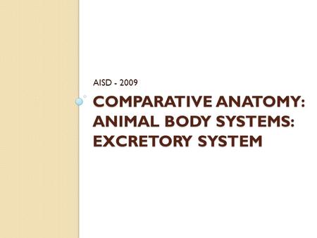 Comparative Anatomy: Animal Body Systems: Excretory System
