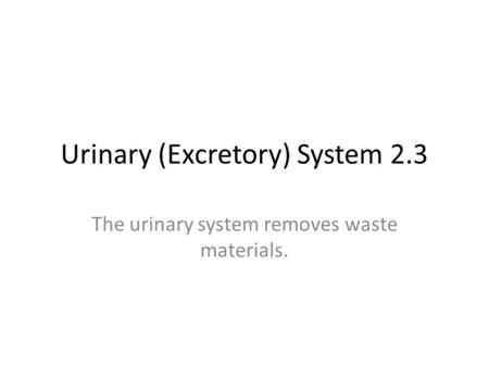 Urinary (Excretory) System 2.3
