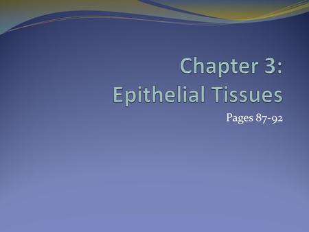 Chapter 3: Epithelial Tissues