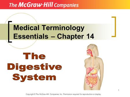 Medical Terminology Essentials – Chapter 14